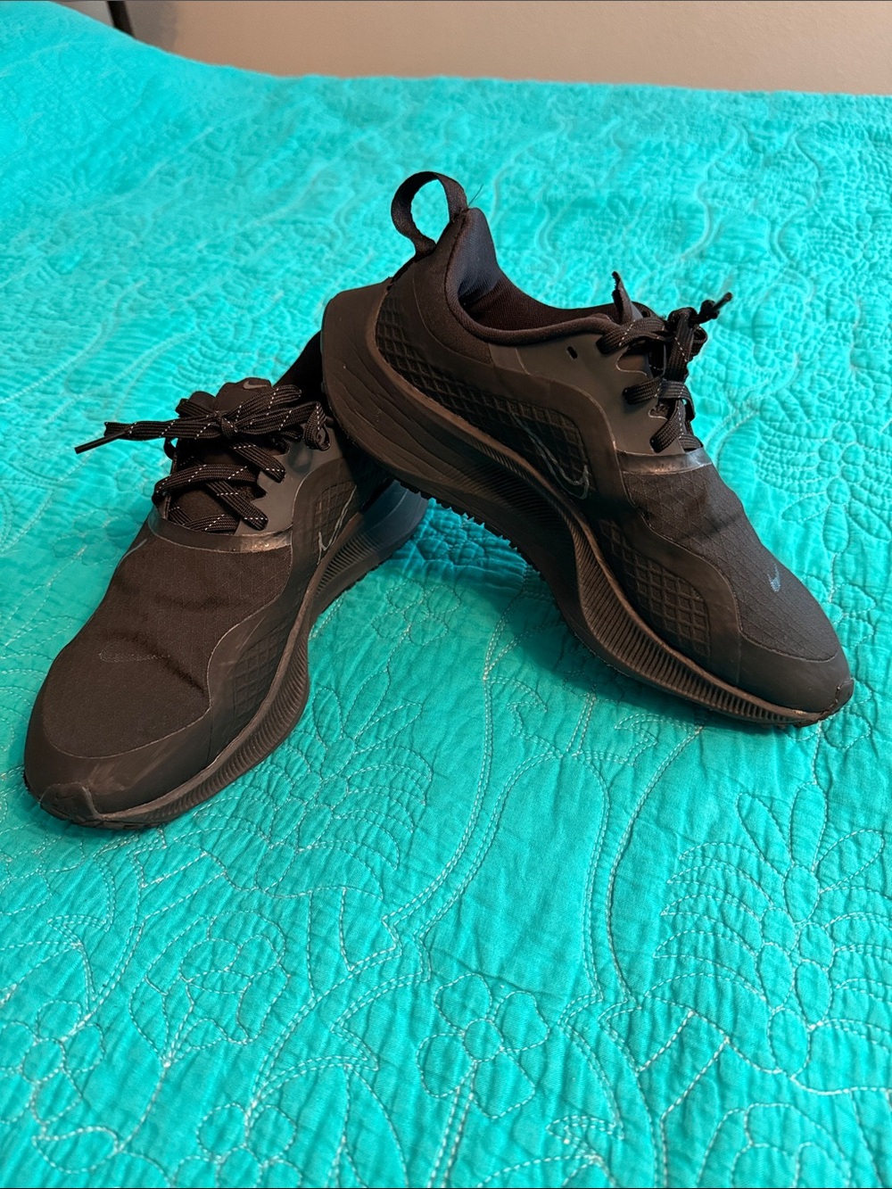 Nike Women’s Zoom Pegasus Shoes